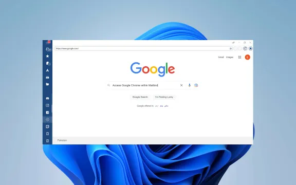 Google Chrome Desktop app
