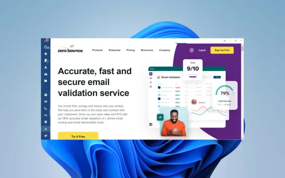 ZeroBounce Desktop app on windows